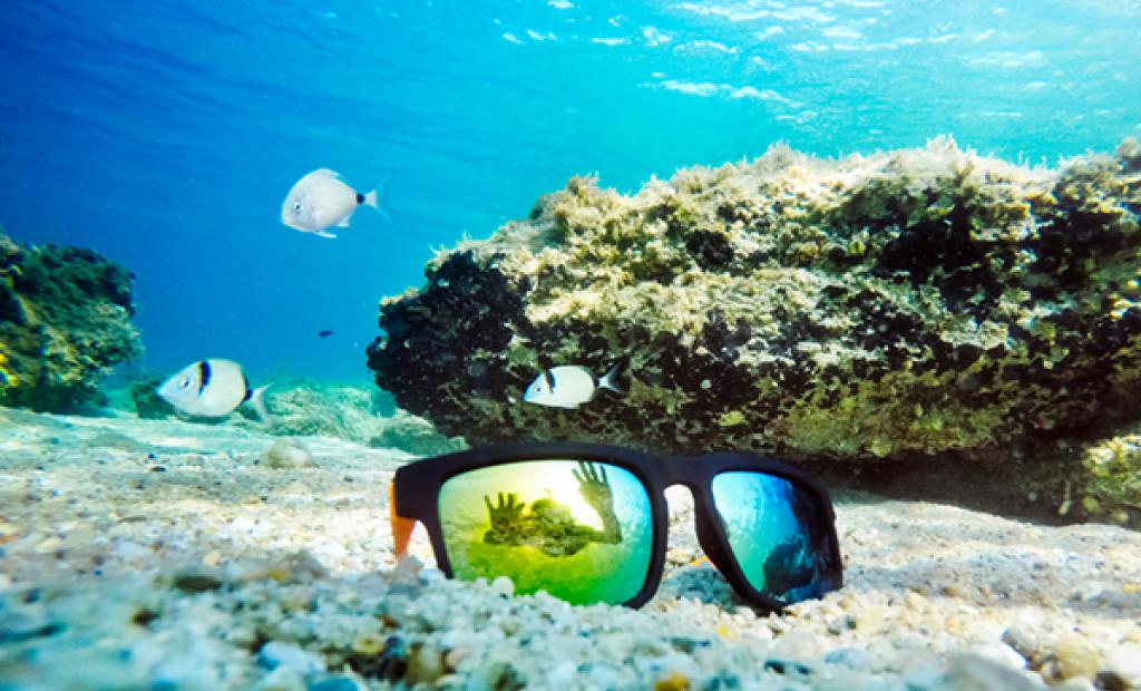 Vinn sommarens snyggaste solglasögon