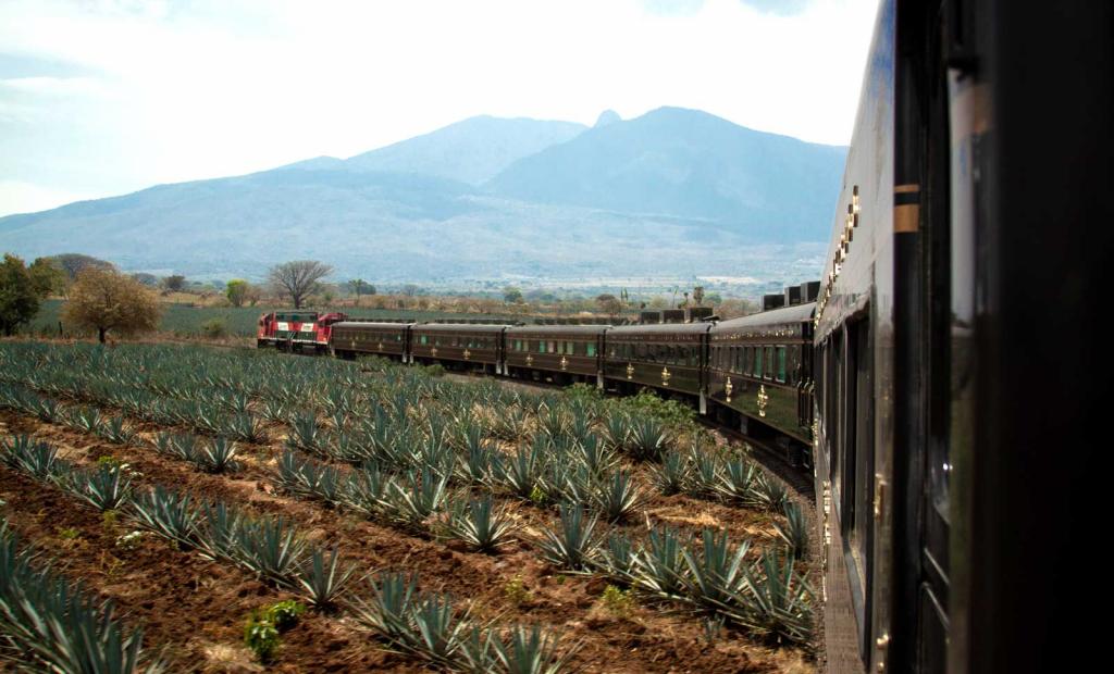 Mexiko: Mexiko (ny)satsar på tequilaturism: Nu kan du åka Tequila Express igen