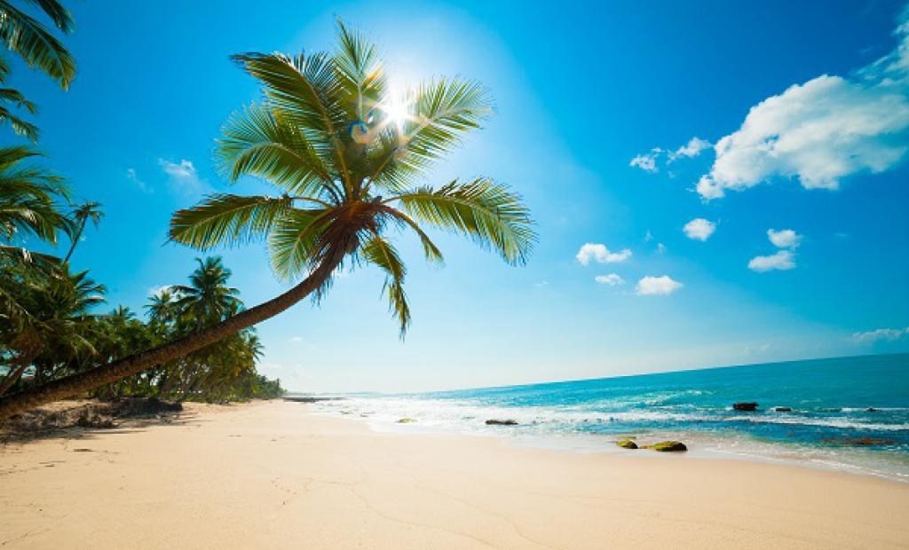 Resorna med högst status