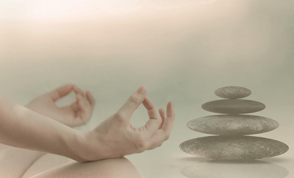 Från mys till hälsa