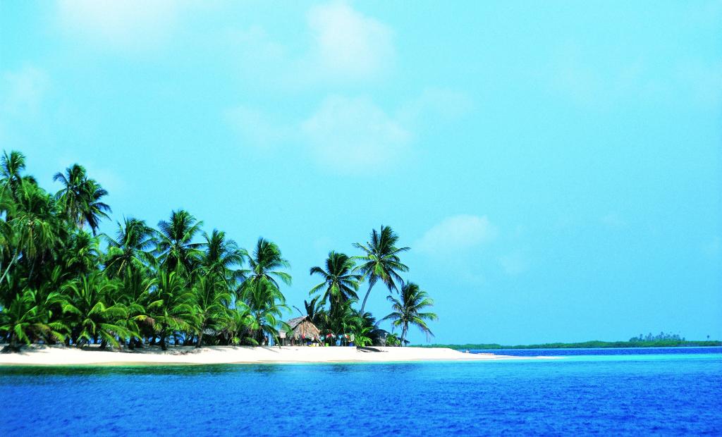 En extrados vitamin sea